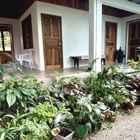 Gasthaus Casa Briza Nicoya Exterior foto
