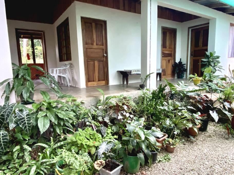 Gasthaus Casa Briza Nicoya Exterior foto