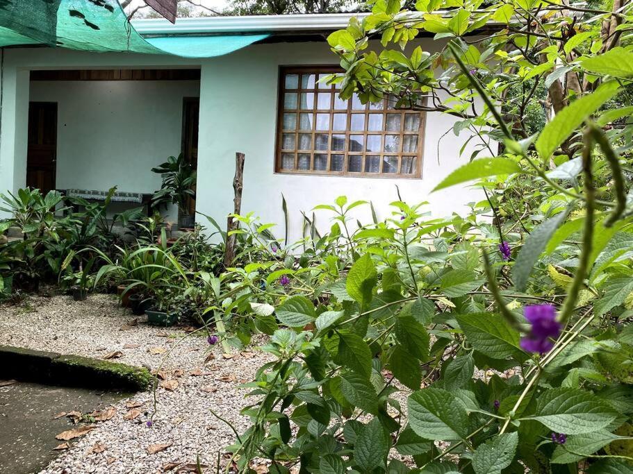 Gasthaus Casa Briza Nicoya Exterior foto