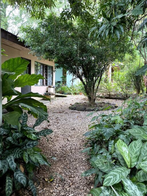 Gasthaus Casa Briza Nicoya Exterior foto